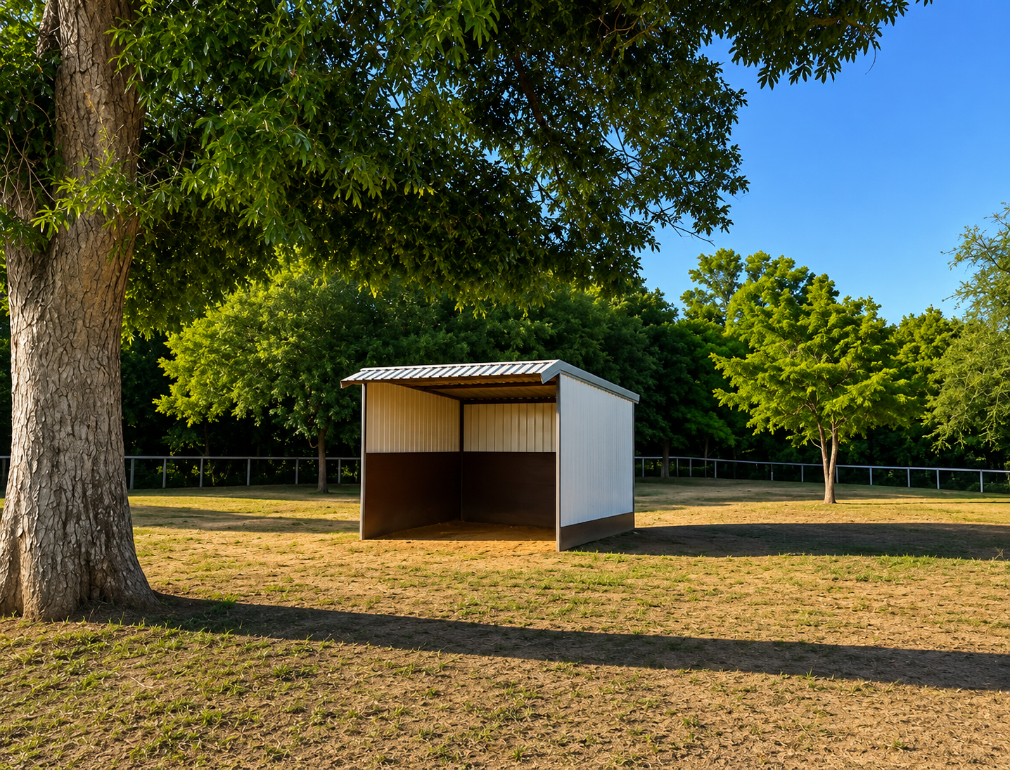 Horse in a private paddock with shelter at CH Performance Horses equestrian facility